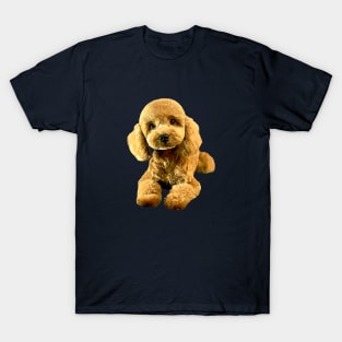 Poodle Puppy Dog T-Shirt